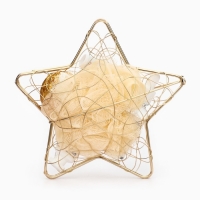 Новогодний подарочный набор косметики &laquo;Новогодняя звезда&raquo;, золотая серия