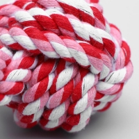 Игрушка тренировочная канатная "Гантель", 180 г, микс цветов Игрушка тренировочная канатная "Гантель", 180 г, микс цветов