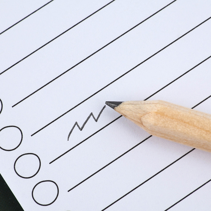 Магнит новогодний с блоком для записи и карандашом &laquo;Новый год: 2025 год&raquo;, 7 х 14,4 см