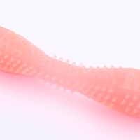 Игрушка для лакомств и сухого корма "Чистилка", TPR, массажная, 14 х 3,5, светится в темноте 10669 Игрушка для лакомств и сухого корма "Чистилка", TPR, массажная, 14 х 3,5, светится в темноте 10669