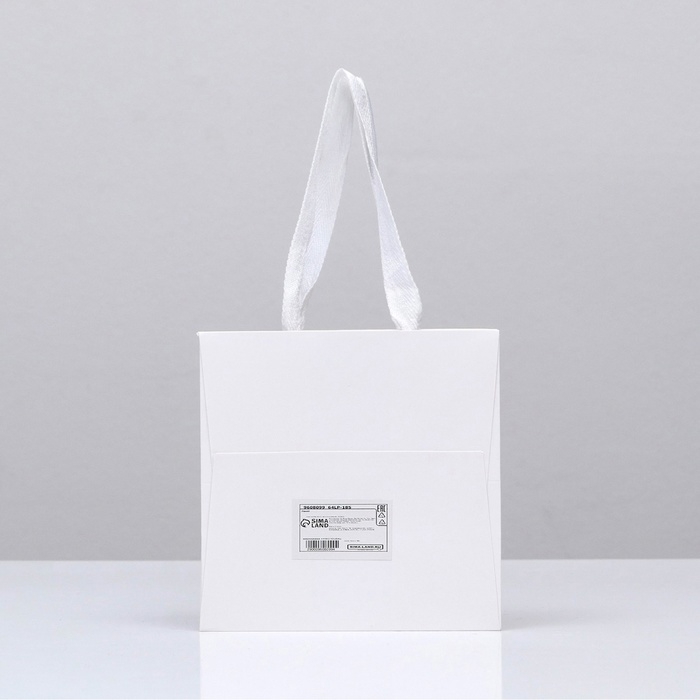Пакет подарочный, крафт, с окном, &laquo;Белый&raquo;, 15 х 15 х 15 см