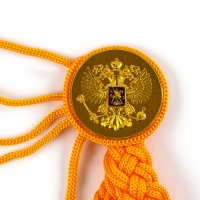 Карнавальный набор &laquo;Храбрый офицер&raquo;, аксельбант, пояс, золотой