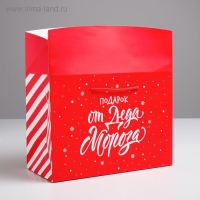 Пакет-коробка &laquo;Подарок&raquo;, 28 х 20 х 13 см, Новый год