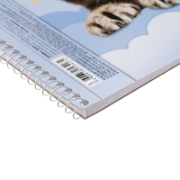 Альбом для рисования А4, 32 листа на гребне "Пушистые мордочки", обложка мелованный картон, перфорация на отрыв, блок 100 г/м2, МИКС