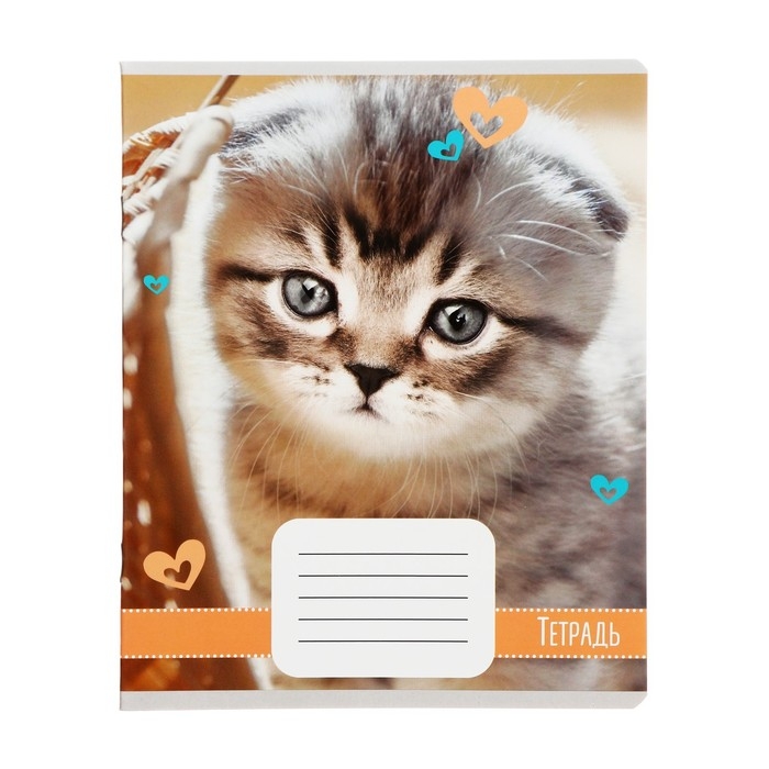 Комплект тетрадей из 10 штук, 18 листов в клетку Calligrata Комплект тетрадей из 10 штук, 18 листов в клетку Calligrata "Домашние животные", обложка мелованный картон, блок офсет, 5 видов по 2 штуки