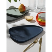 Тарелка керамическая  &laquo;Тёмно-синяя&raquo;, 28 х 22 см