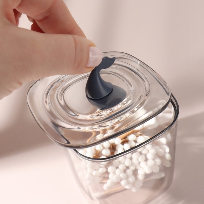 Органайзер для хранения &laquo;Кит&raquo;, с крышкой, 9 &times; 9 &times; 13,5 см, в картонной коробке, цвет синий