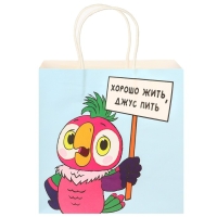 Пакет подарочный, 22х22х11 см, крафт, упаковка, Попугай Кеша