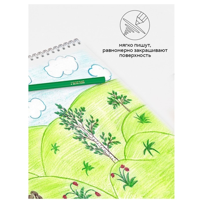 Карандаши цветные пластиковые 36 цветов Гамма Карандаши цветные пластиковые 36 цветов Гамма "Мультики", заточенные, ПВХ, европодвес 251220214