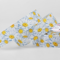 Лента репсовая &laquo;Ромашки&raquo;, 25 мм, 23 &plusmn; 1 м, разноцветная
