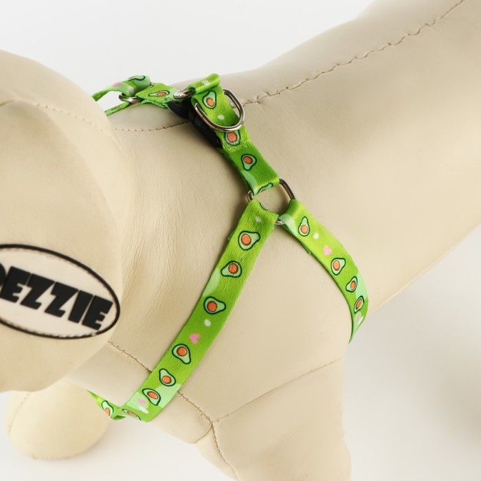 Комплект &laquo;Авокадо&raquo;, шлейка 24-36 см, поводок 120х1 см