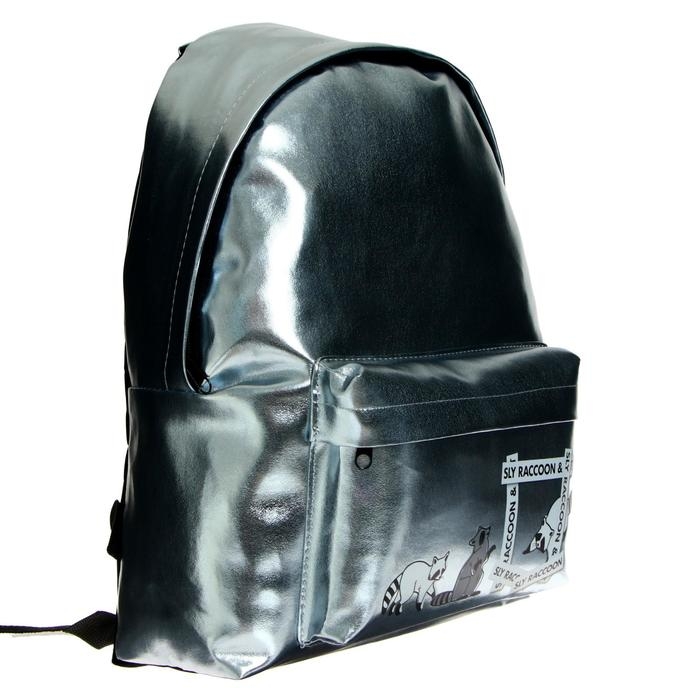 Рюкзак молодёжный Calligrata "Енотик" + пенал - косметичка, 38 х 30 х 11 см, голография