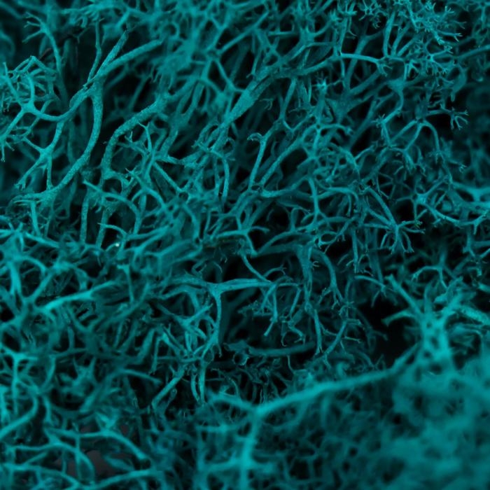 Мох стабилизированный Мох стабилизированный "Морская волна" МИКС 45 гр (+-5 гр)