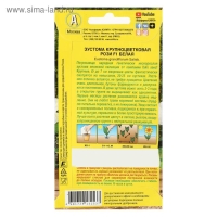 Семена цветов Эустома Рози F1 белая крупноцветковая махровая, 5 шт.