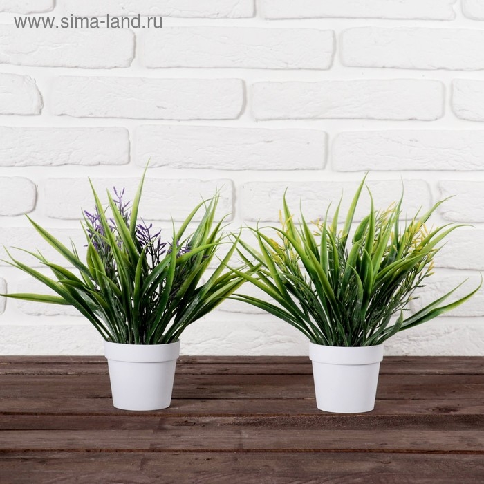 Бонсай в горшочке "Полевая листва" 9х23 см, микс