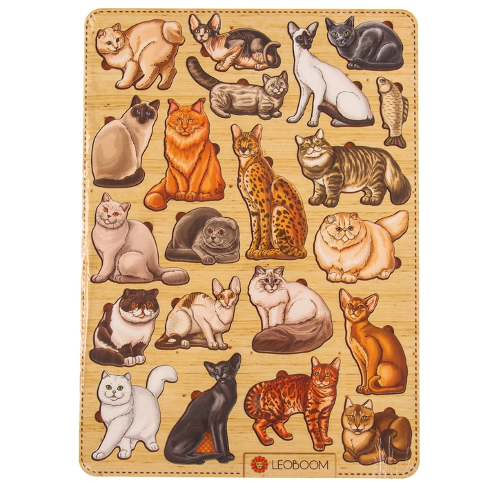 Рамки-вкладыши &laquo;Породы кошек&raquo;