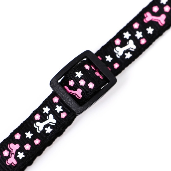 Ошейник двухслойный с фастексом Ошейник двухслойный с фастексом "Звездные косточки", 30 х 1 см, микс цветов