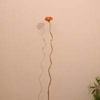 Сухоцвет на бамбуковом стебле 150 см оранжевый