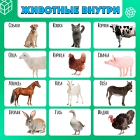 Развивающий трансформер «Умникуб: Домашние животные», 3+ Развивающий трансформер «Умникуб: Домашние животные», 3+