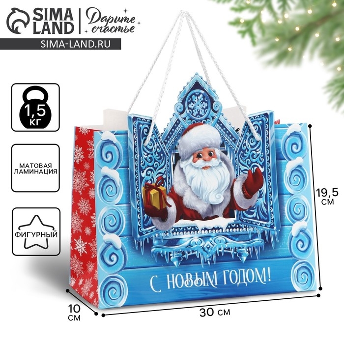 Пакет подарочный новогодний &laquo;Дед Мороз&raquo;, 30 х 26 х 10 см , Новый год