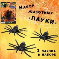 Набор насекомых &laquo;Пауки&raquo;