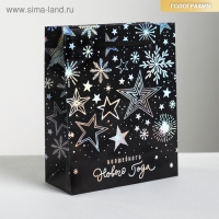 Пакет голографический вертикальный «Волшебного Нового года», S 12 х 15 х 5.5 см, Новый год Пакет голографический вертикальный «Волшебного Нового года», S 12 х 15 х 5.5 см, Новый год