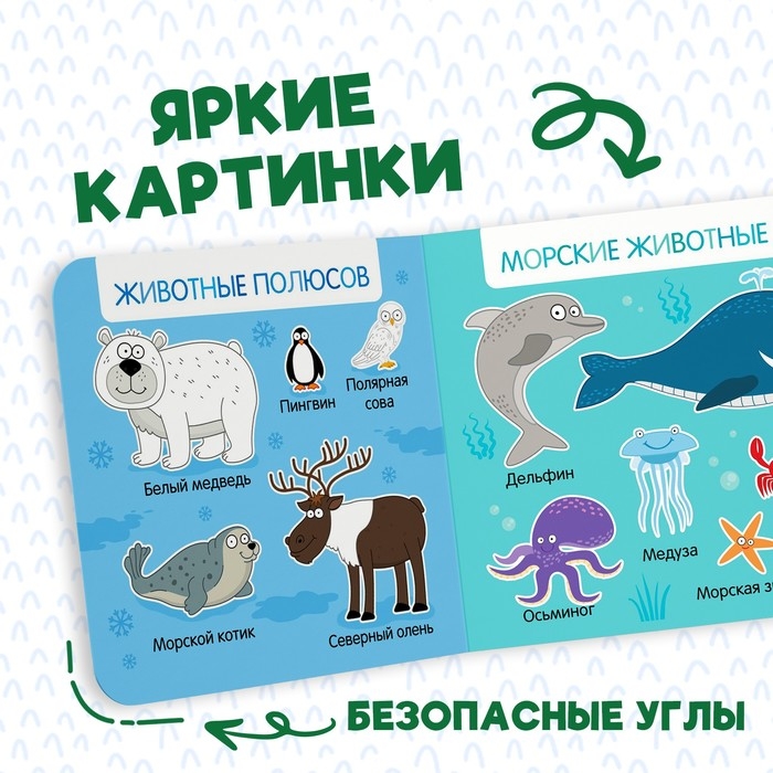 Картонная книга «Первая книга. Удивительные животные», 10 стр., 15 × 15 см, Синий трактор Картонная книга «Первая книга. Удивительные животные», 10 стр., 15 × 15 см, Синий трактор