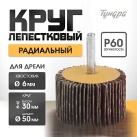 Круг лепестковый радиальный ТУНДРА, 50 х 30 х 6 мм, Р60 Круг лепестковый радиальный ТУНДРА, 50 х 30 х 6 мм, Р60
