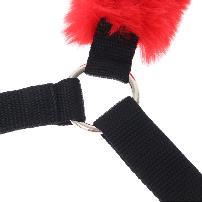 Недоуздок из нейлона с флисовым подкладом, регулируемый размер, черный Недоуздок из нейлона с флисовым подкладом, регулируемый размер, черный