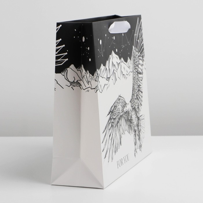 Пакет подарочный ламинированный горизонтальный, упаковка, &laquo;Орёл&raquo;, M 25.5 х 30 х 9 см