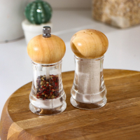 Набор мельниц для соли и перца Magistro,10×5×10 см, 2 шт Набор мельниц для соли и перца Magistro,10×5×10 см, 2 шт