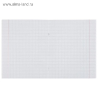 Тетрадь 48 листов в клетку Calligrata P-P-Panda, обложка мелованный картон, УФ-лак, блок офсет, МИКС Тетрадь 48 листов в клетку Calligrata P-P-Panda, обложка мелованный картон, УФ-лак, блок офсет, МИКС