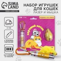 Игрушка для кошек лазер+мышь &laquo;&lrm;Хороший котик&raquo;&lrm;