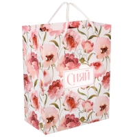 Пакет подарочный "Сияй" 18х23х10 см, упаковка, Принцессы