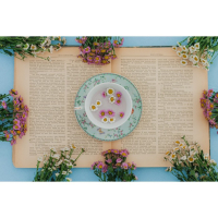 Чайная пара керамическая Доляна &laquo;Пелагея&raquo;, 2 предмета: чашка 220 мл, блюдце d=14 см