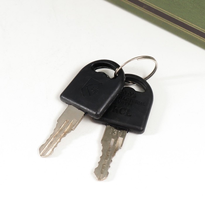 Сейф-книга дерево кожзам Сейф-книга дерево кожзам "Джонатан Свифт. Путешествия Гулливера" 21х13х5 см