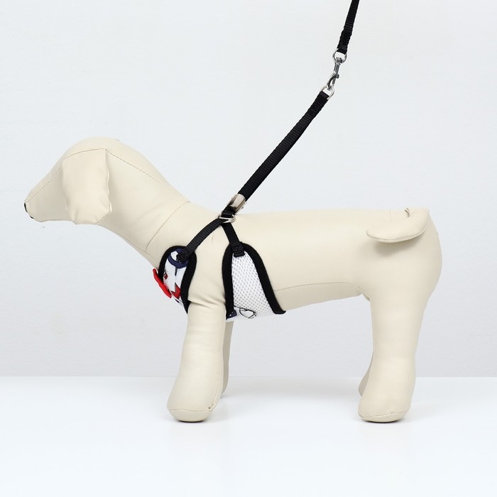 Комплект с мягкой шлейкой и бантиком "Морской", размер S, поводок 120 x 1,5 см, ОГ 23-42 см   968377