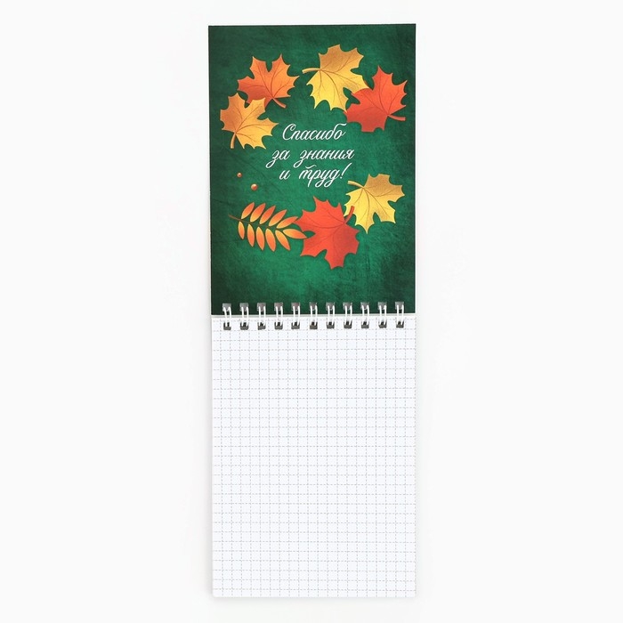 Блокнот «Учителю», на гребне, А6, 40 листов Блокнот «Учителю», на гребне, А6, 40 листов