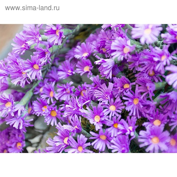 Бумага для упаковки и поделок, гофрированная, светлая, сиреневая, однотонная, двусторонняя, рулон 1 шт., 0,5 х 2,5 м Бумага для упаковки и поделок, гофрированная, светлая, сиреневая, однотонная, двусторонняя, рулон 1 шт., 0,5 х 2,5 м