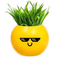 Набор для опытов, для детей «Выращиваем травку», растение в горшочке - эмодзи «Крутой» Набор для опытов, для детей «Выращиваем травку», растение в горшочке - эмодзи «Крутой»
