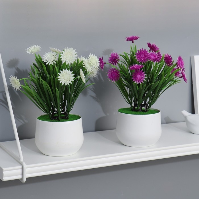 Бонсай в горшке "Остроконечник" 9х28 см, микс