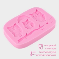 Молд Доляна &laquo;Совы&raquo;, силикон, 10&times;7&times;1,1 см, цвет МИКС