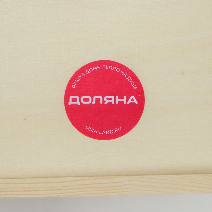 Поднос для завтрака Доляна Woodie, 32&times;20 см, сосна