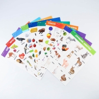 Набор обучающих плакатов «Изучаем мир», 10 в 1, А4 Набор обучающих плакатов «Изучаем мир», 10 в 1, А4