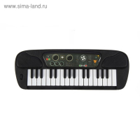 Синтезатор &laquo;Музыкант&raquo;, 19 клавиш