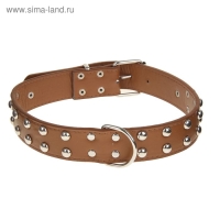 Ошейник клепаный в 2 ряда, 65 х 3,4 см, ОШ 50-60 см, коричневый Ошейник клепаный в 2 ряда, 65 х 3,4 см, ОШ 50-60 см, коричневый