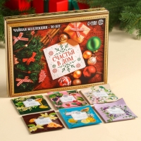 Новый год! Чайная коллекция &laquo;Счастья в дом&raquo;, 54 г (30 пакетиков х 1,8 г).