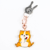 Брелок для ключей акриловый &laquo;Котик&raquo;, 6 х 5,4 см