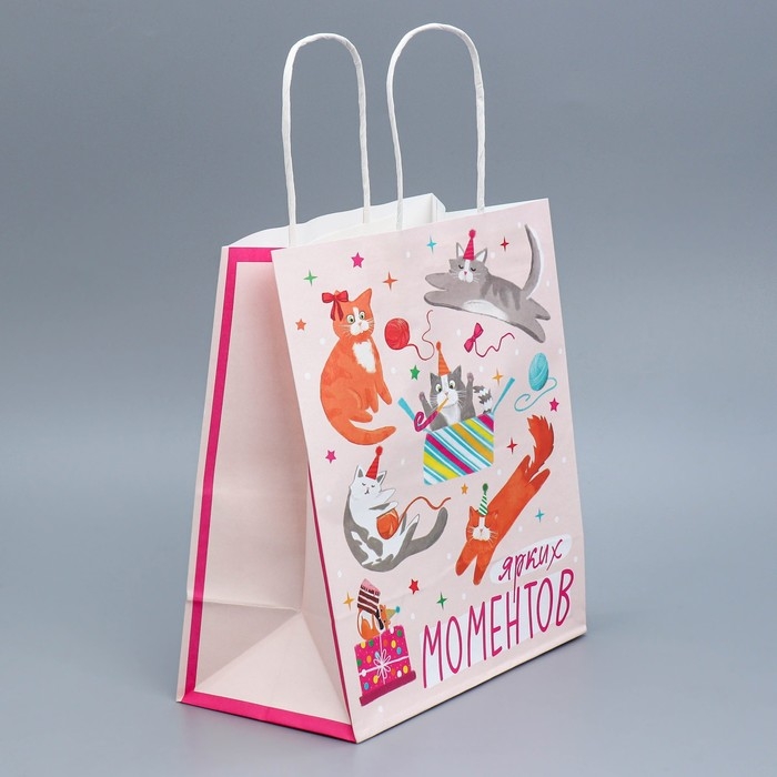 Пакет подарочный крафтовый, упаковка, &laquo;Вечеринка&raquo;, 22 х 25 х 12 см