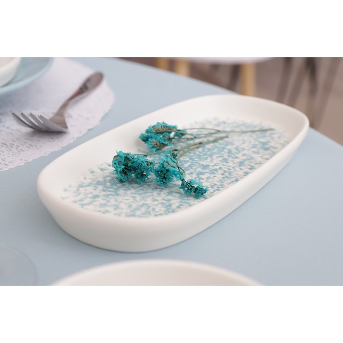 Блюдо сервировочное фарфоровое Magistro «Лунный океан» 21,5×10×2,2 см Блюдо сервировочное фарфоровое Magistro «Лунный океан» 21,5×10×2,2 см